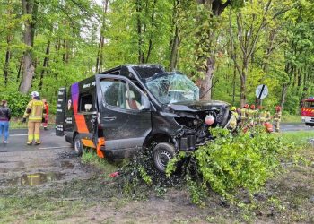 Uderzył busem w drzewo. Sześć osób rannych