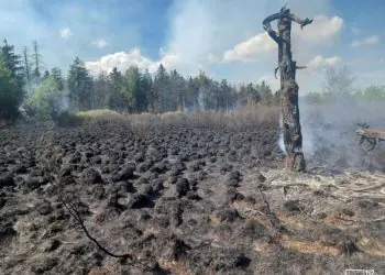 Rozległy pożar na pograniczu Polski i Słowacji