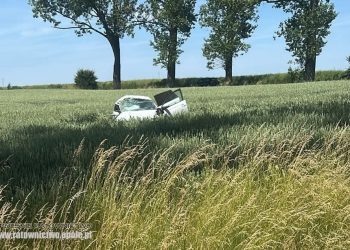 Wypadek w Ucieszkowie. Nie żyją dwie osoby