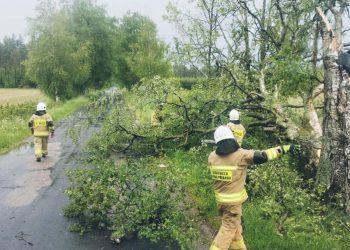 Prawie pół tysiąca interwencji po burzach