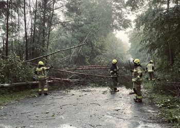 Nawałnica w powiecie kraśnickim. W akcji strażacy i żołnierze