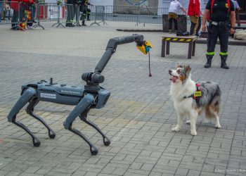 Pokazy GRS OSP Nowy Sącz na IFRE-EXPO 2025