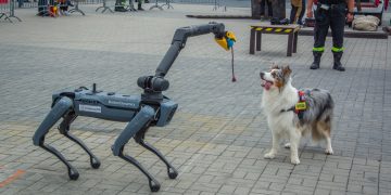 Pokazy GRS OSP Nowy Sącz na IFRE-EXPO 2025