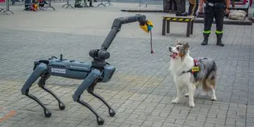 Pokazy GRS OSP Nowy Sącz na IFRE-EXPO 2025