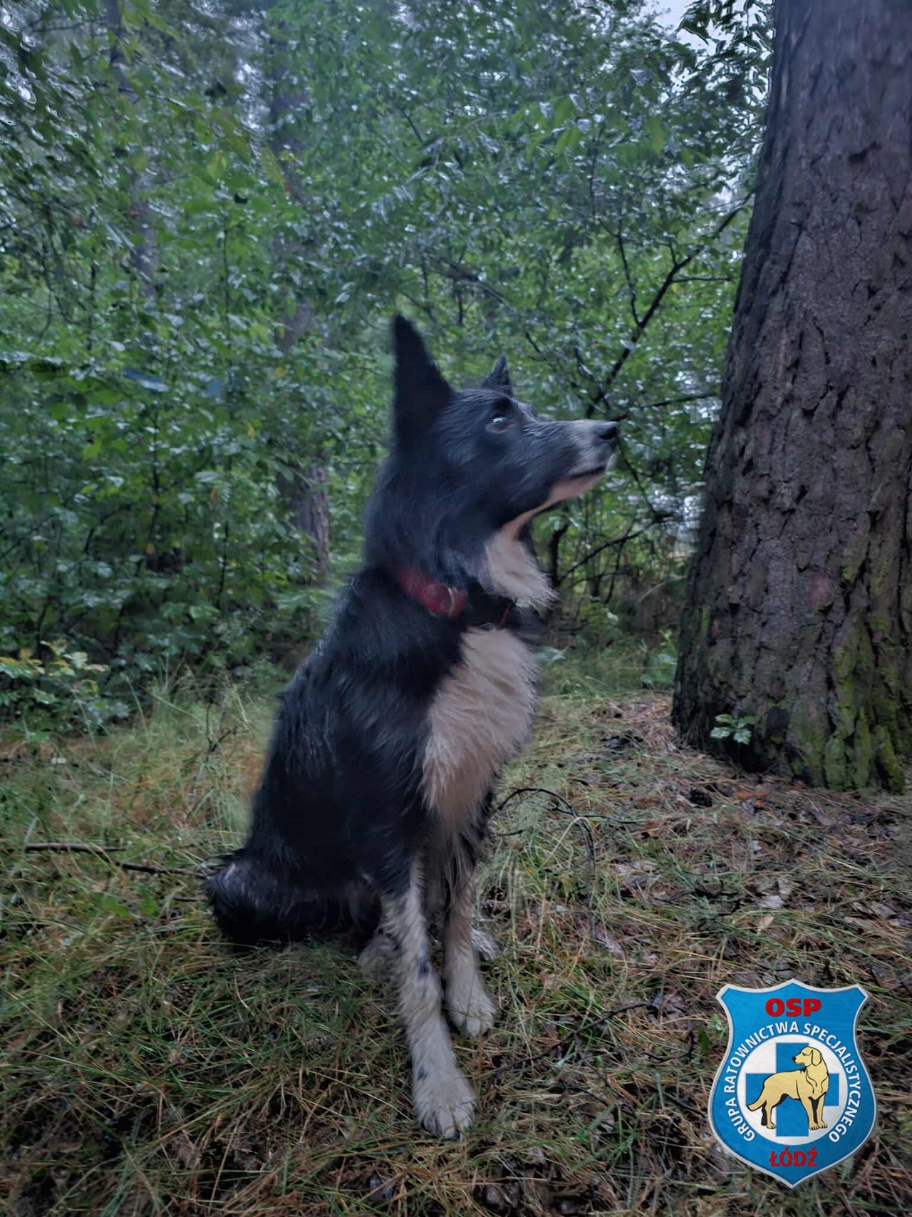 Szczęśliwy finał poszukiwań Pani Leokadii