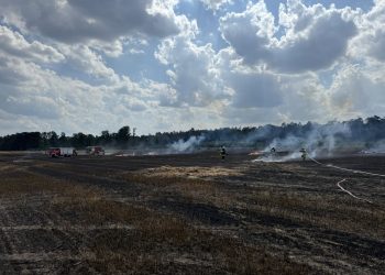 Pożar na polu w miejscowości Wielki Buczek