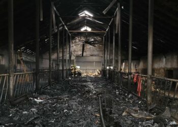 Duży pożar budynków gospodarczych. W akcji strażacy z trzech powiatów