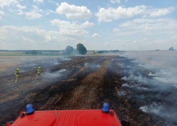 Pożar zboża na pniu w miejscowości Sokola Góra