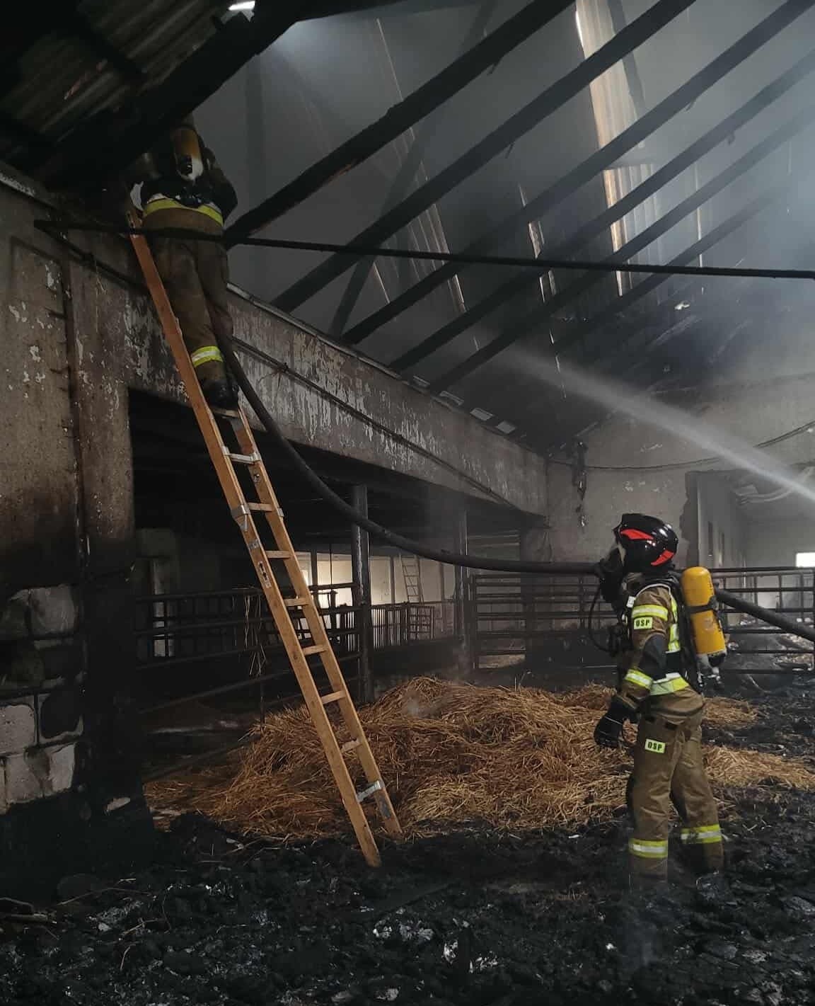 Duży pożar budynków gospodarczych. W akcji strażacy z trzech powiatów
