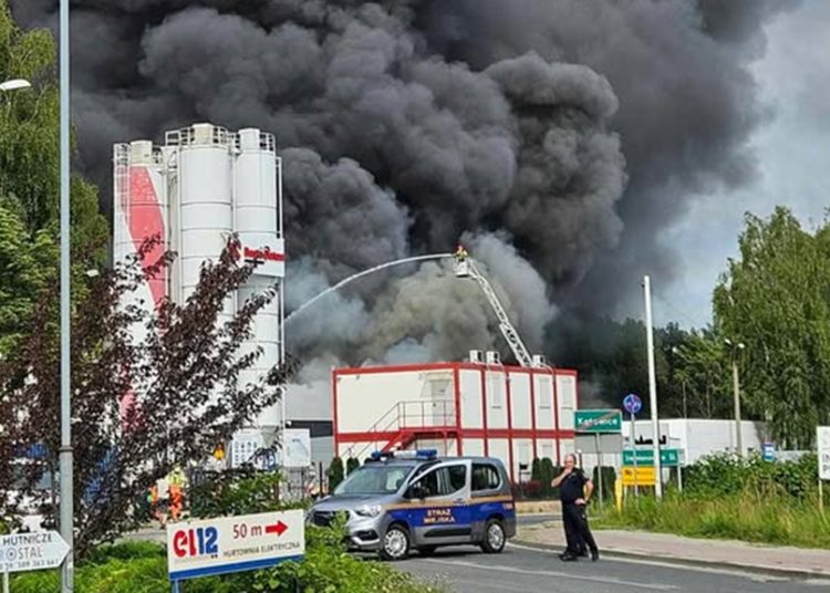 Foto. Paweł Freund