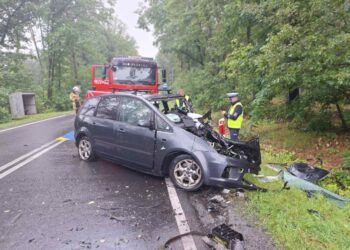Nie żyją dwie osoby. Tragiczny wypadek na DK39