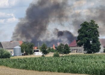 Pożar zboża na pniu w Pogórzu