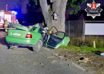 Wypadek w Naprawie. Ciężki stan 20-latka