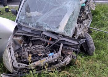 Śmiertelny wypadek na DK10 pod Toruniem. Nie żyje kobieta