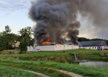 Pożar hali w Dąbrówce Kościelnej. Trwa akcja strażaków