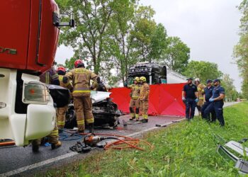 Wypadek w Opaleńcu. Nie żyją cztery osoby