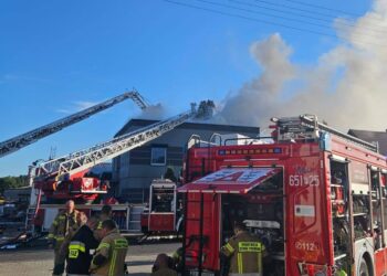 Pożar tartaku w Szczodrzejewie. W akcji 21 zastępów