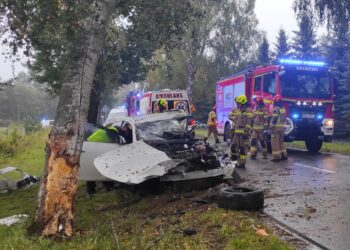 Wypadek w miejscowości Bornity. Jedna osoba trafiła do szpitala