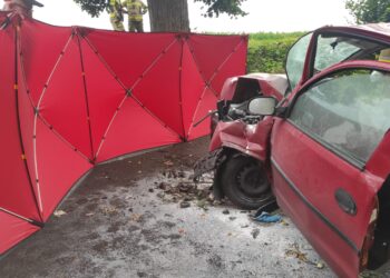 Rodzinna tragedia na drodze powiatowej. Nie żyje matka i jej syn