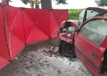 Rodzinna tragedia na drodze powiatowej. Nie żyje matka i jej syn