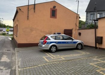 Pożar w Trzemesznie. Nie żyje starszy mężczyzna