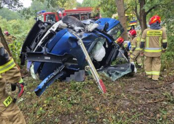 Wypadek pod Żyrardowem. Kierowca miał prawie cztery promile