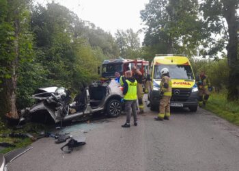 Tragedia na drodze. Nie żyje mężczyzna i niemowlę