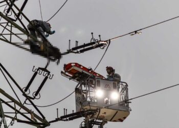 Wspinaczka na słup energetyczny zakończona śmiercią