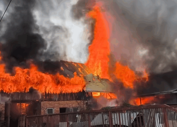 foto. kadr film/Góral Info