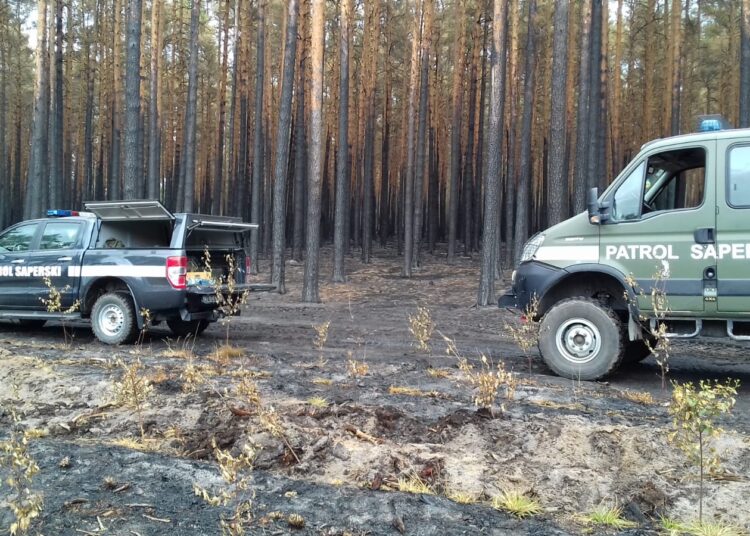 foto. ilustrujące Wojsko Polskie