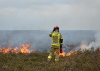 Wspólne ćwiczenia wojskowych i cywilnych straży pożarnych na poligonie w Żaganiu