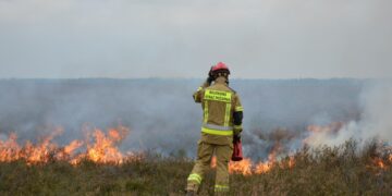 Wspólne ćwiczenia wojskowych i cywilnych straży pożarnych na poligonie w Żaganiu