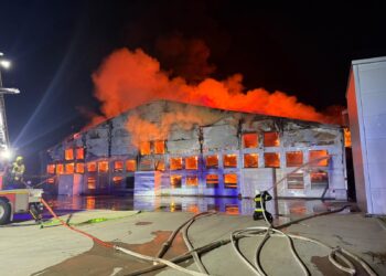 Kurnik w ogniu. W Fałkowicach przybywa zastępów