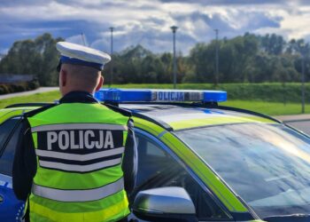 Strażak potrącił kobietę i uciekł. Był pijany, teraz trafi do więzienia