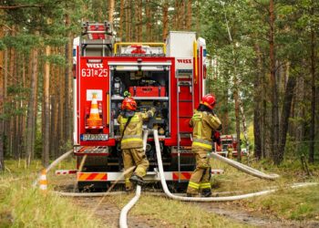 Siły COO ze Śląska ćwiczyły na terenie Nadleśnictwa Brynek