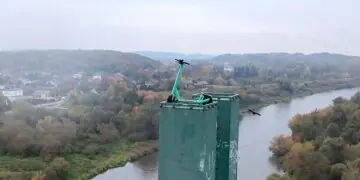 Głupota nie zna granic. Hulajnoga na 40-metrowym pylonie