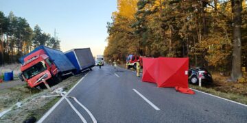 Śmiertelny wypadek na drodze krajowej nr 46