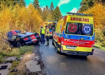 Sześć osób rannych w wypadku między Arłamowem a Kwaszeniną