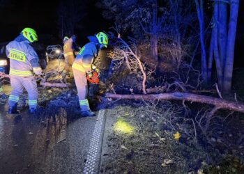 Ponad 700 interwencji strażaków. Silny wiatr daje się we znaki