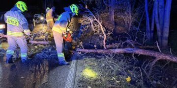 Ponad 700 interwencji strażaków. Silny wiatr daje się we znaki