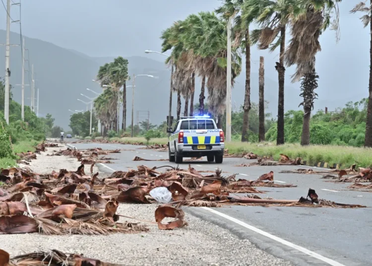 Fot. PAP/EPA/Rudolph Brown