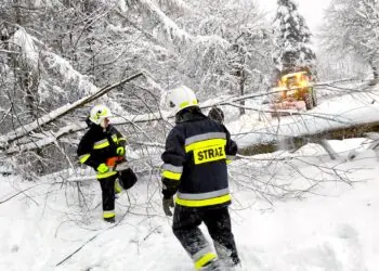 Podkarpaccy strażacy mają pełne ręce roboty. Już ponad tysiąc interwencji