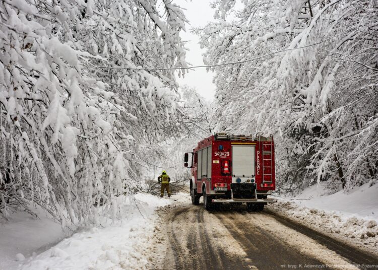 foto. KW PSP Rzeszów