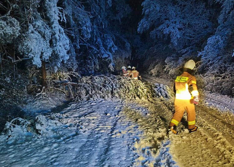 foto. OSP KSRG Wilczyn