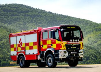 Król Lew – szyty na miarę potrzeb