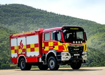 Król Lew – szyty na miarę potrzeb