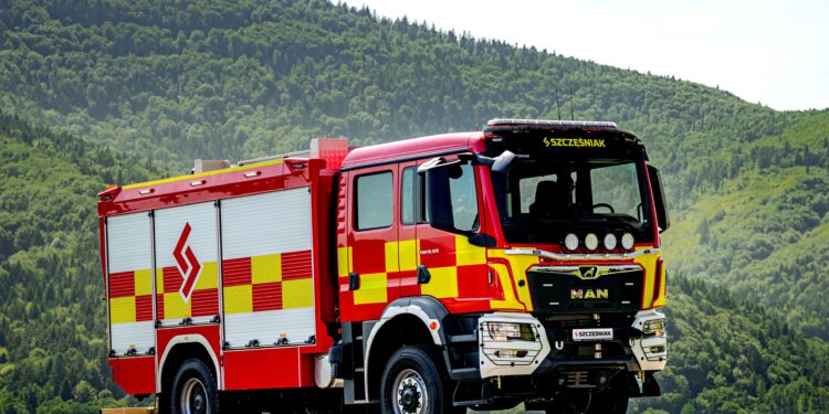 Król Lew – szyty na miarę potrzeb