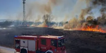 Ostrzejsze kary za sprowadzenie zagrożenia pożarowego
