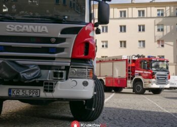 Nowe SCRt. Państwowa Straż Pożarna wybrała wykonawcę