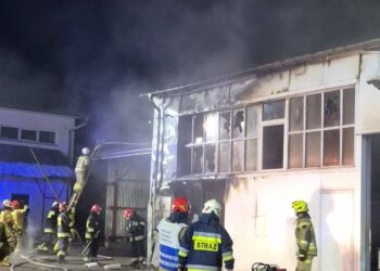 Pożar hali sklepu rolniczego w miejscowości Janówka